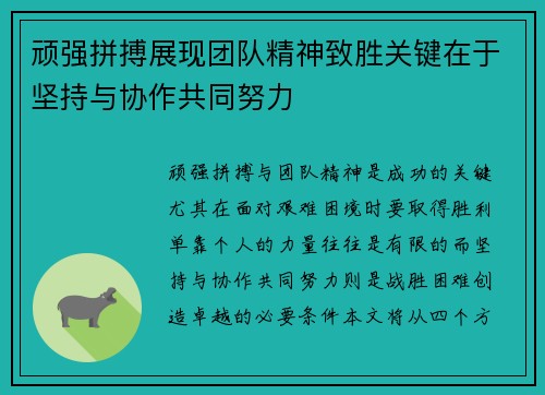 顽强拼搏展现团队精神致胜关键在于坚持与协作共同努力